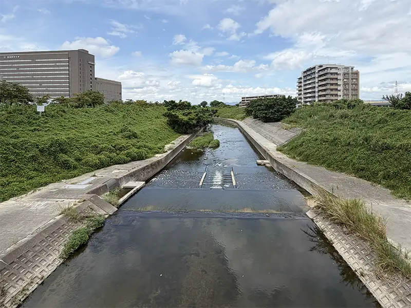 かささぎ橋から見た天の川