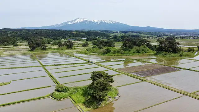 九十九島